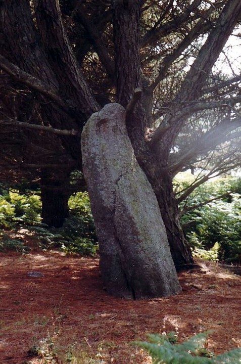 Long Rock (Standing Stone / Menhir) by Earthstepper