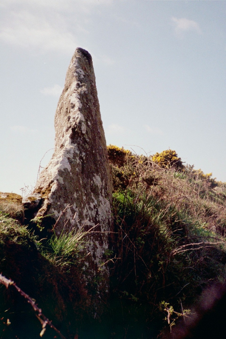 Boscawen-Un hedge (Standing Stone / Menhir) by Chris Bond