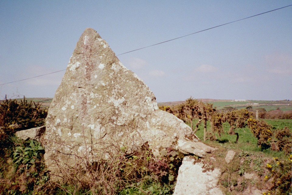 Boscawen-Un hedge (Standing Stone / Menhir) by Chris Bond