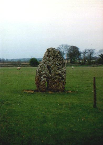 The Longstone of Minchinhampton (Standing Stone / Menhir) by Moth