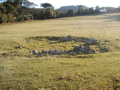 Madryn Castle Settlement (Ancient Village / Settlement / Misc. Earthwork) by rdavymed