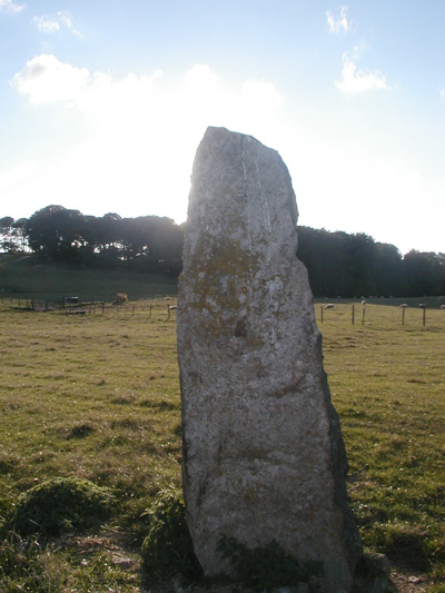 Coed Creigiau-Cathod (Standing Stone / Menhir) by rdavymed