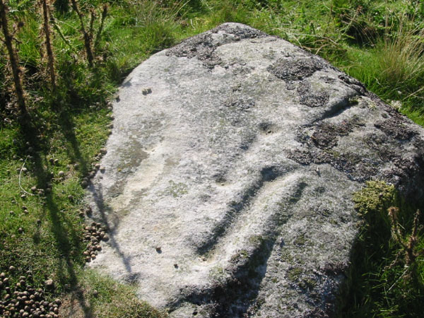 Skyreholme 401 (Cup Marked Stone) by stubob