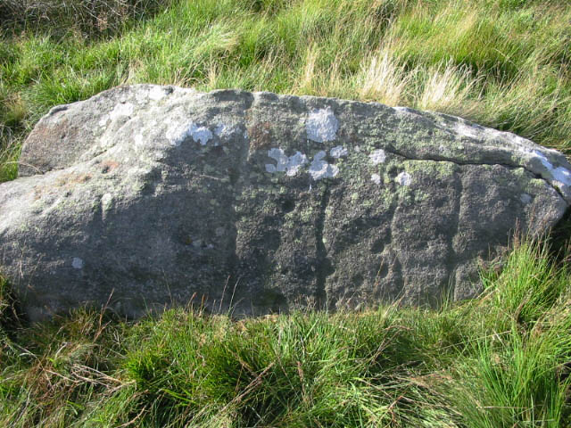 Skyreholme 418 (Cup Marked Stone) by stubob