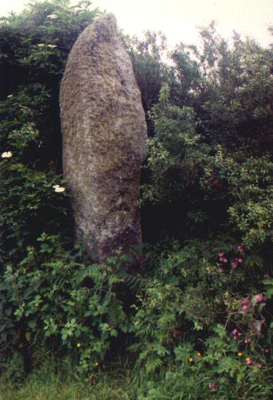 Gun Rith Menhir (Standing Stone / Menhir) by Moth
