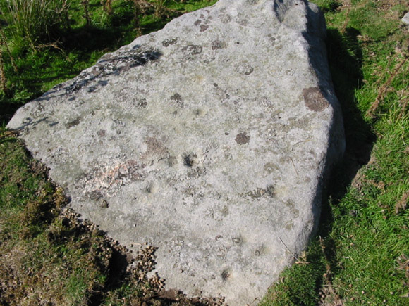 Skyreholme 404 (Cup Marked Stone) by stubob