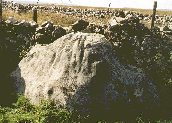 Skyreholme Walled Boulder (Cup Marked Stone) by fitzcoraldo