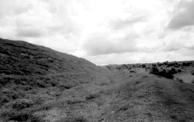 St Catherine's Hill (Hillfort) by pure joy