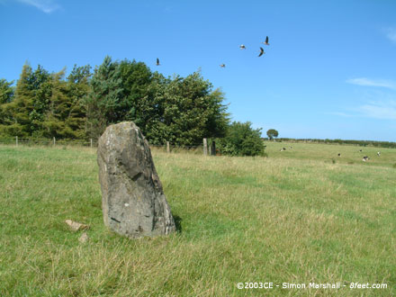 Trefwri Standing Stone (East) (Standing Stone / Menhir) by Kammer