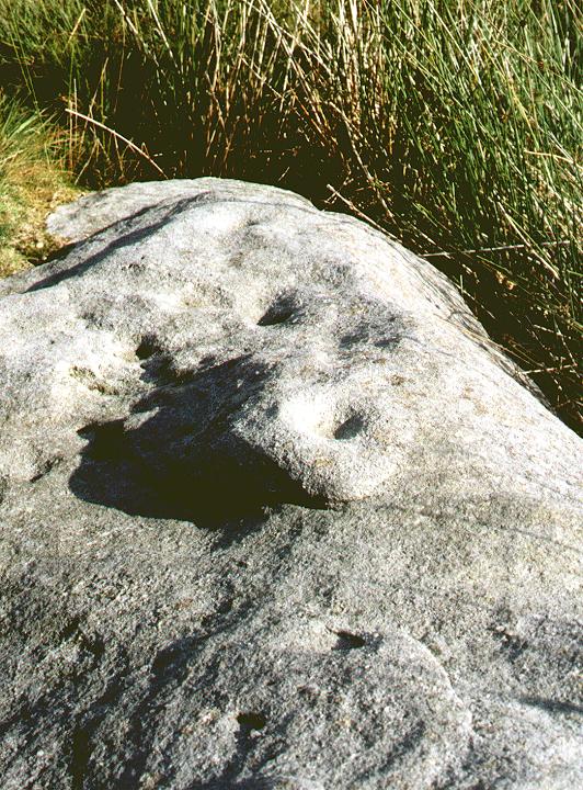 Skyreholme (Cup Marked Stone) by fitzcoraldo