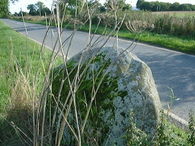 Leys of Marlee (Stone Circle) by Chris