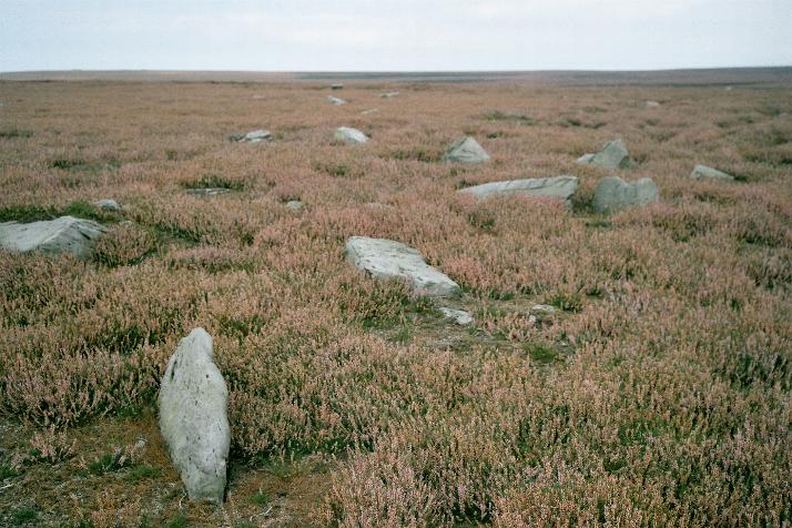 Howl Moor (Stone Circle) by Moth