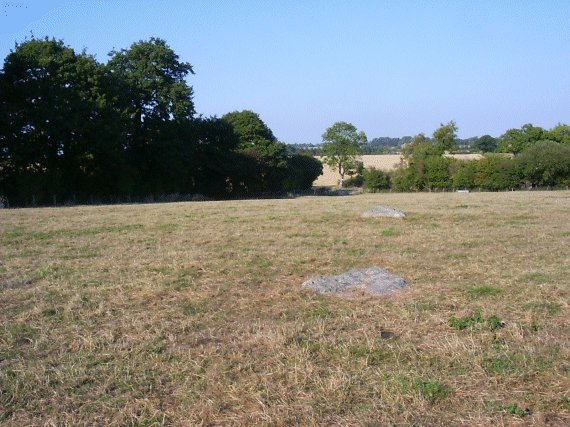 Winterbourne Bassett (Stone Circle) by Jane
