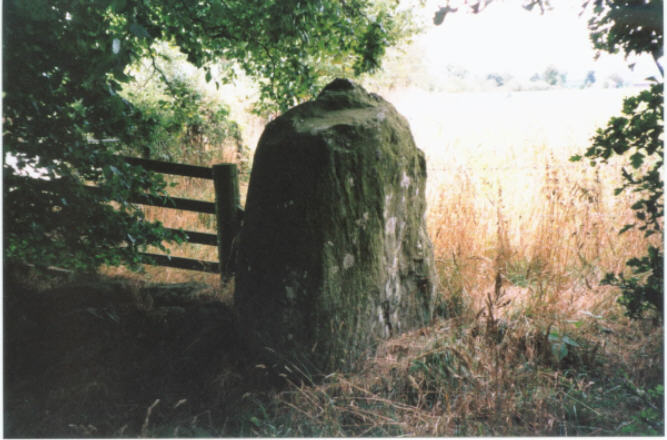 Wolfhill (Standing Stones) by hamish