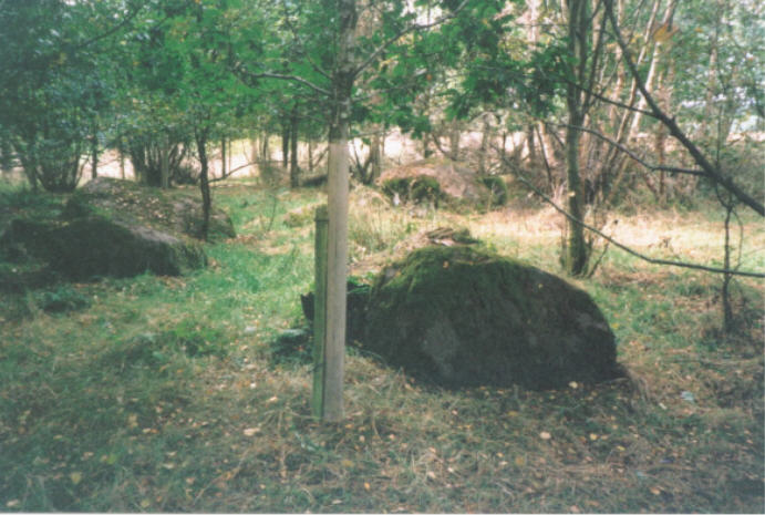 Blackfaulds Stone Circle (Stone Circle) by hamish