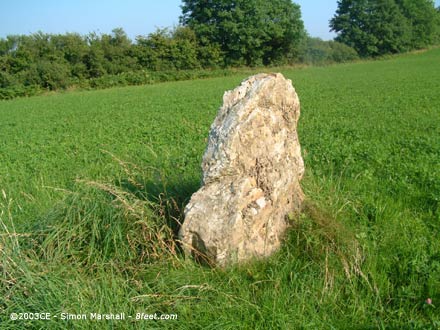 The Longstone (Standing Stone / Menhir) by Kammer