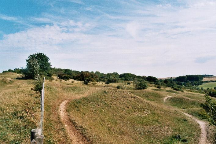 Crickley Hill (Causewayed Enclosure) by Moth