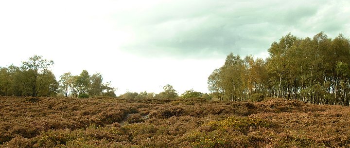 Stanton Moor Central (Stone Circle) by Chris Collyer