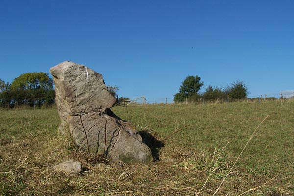 Deerleap Stones (Standing Stones) by doktoratomik
