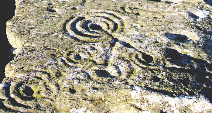 Drumtroddan Carved Rocks (Cup and Ring Marks / Rock Art) by fitzcoraldo