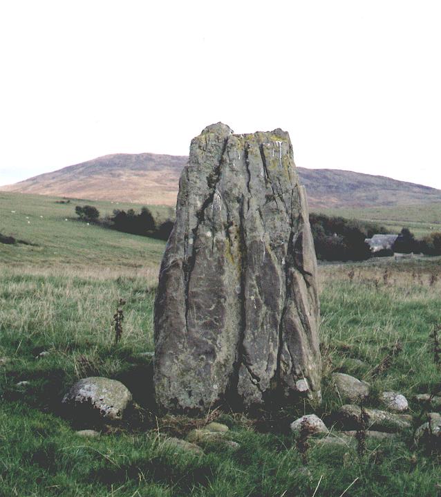 Bagbie Stone (Standing Stone / Menhir) by fitzcoraldo
