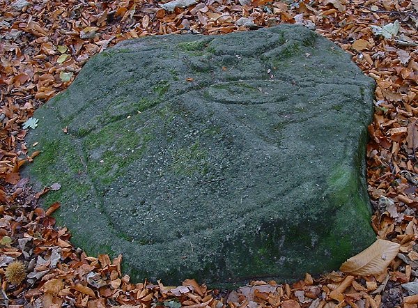 Ecclesall Woods (Cup and Ring Marks / Rock Art) by Chris Collyer