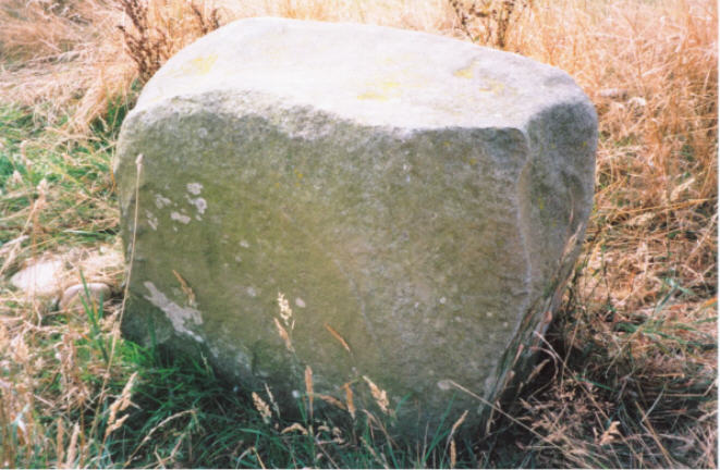 Colen Wood Stone Circle (Stone Circle) by hamish