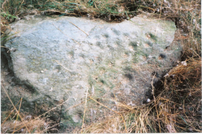 Colen Wood Stone Circle (Stone Circle) by hamish