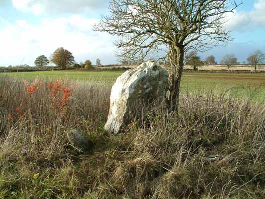 The Hoar Stone (Duntisbourne Abbots) (Long Barrow) by baza