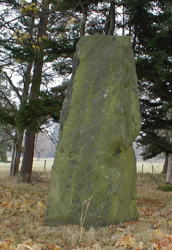 Balnakeilly Stone (Standing Stone / Menhir) by pebblesfromheaven