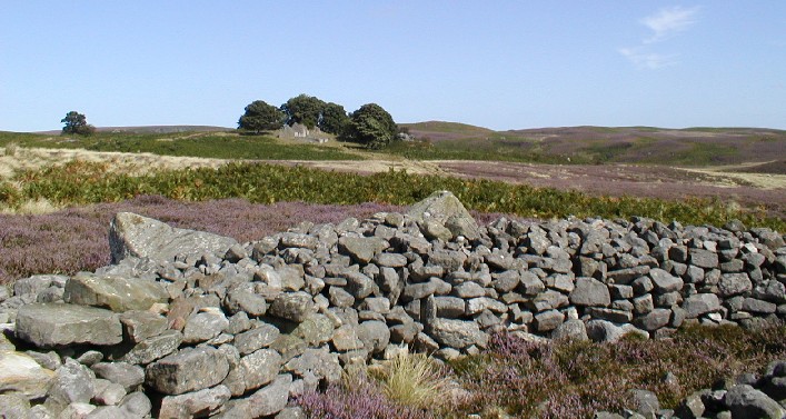Blawearie Cairn (Kerbed Cairn) by pebblesfromheaven