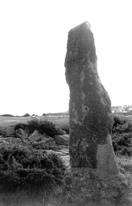Harry's Walls (Standing Stone / Menhir) by pure joy