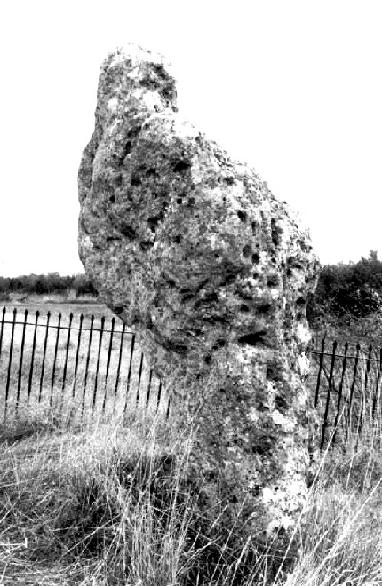 The King Stone (Standing Stone / Menhir) by pure joy