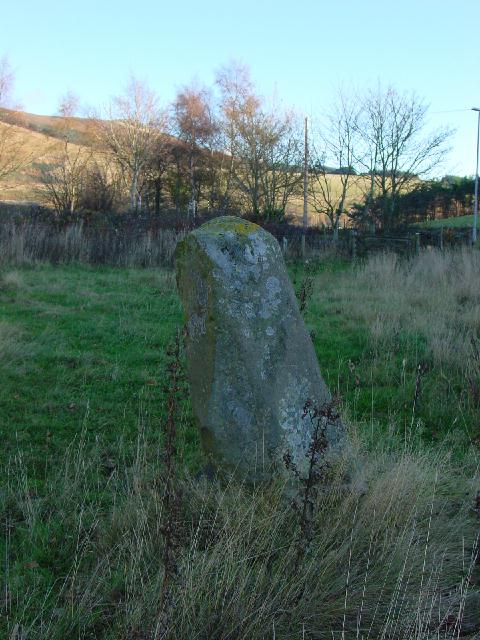 Cardrona Mains (Standing Stone / Menhir) by Martin