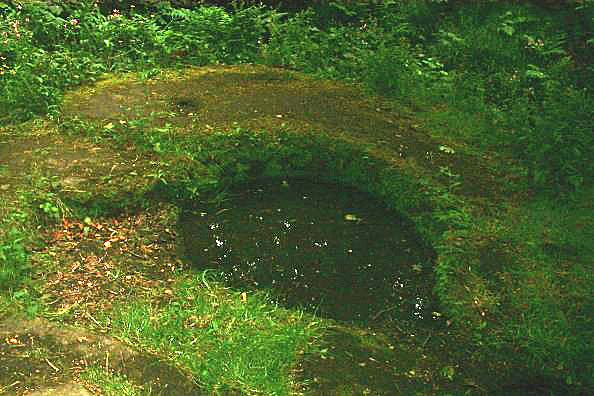 Dunino Den (Sacred Well) by nickbrand