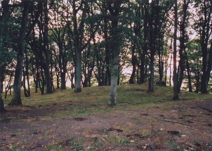 Muirheadstone (Stone Circle) by BigSweetie