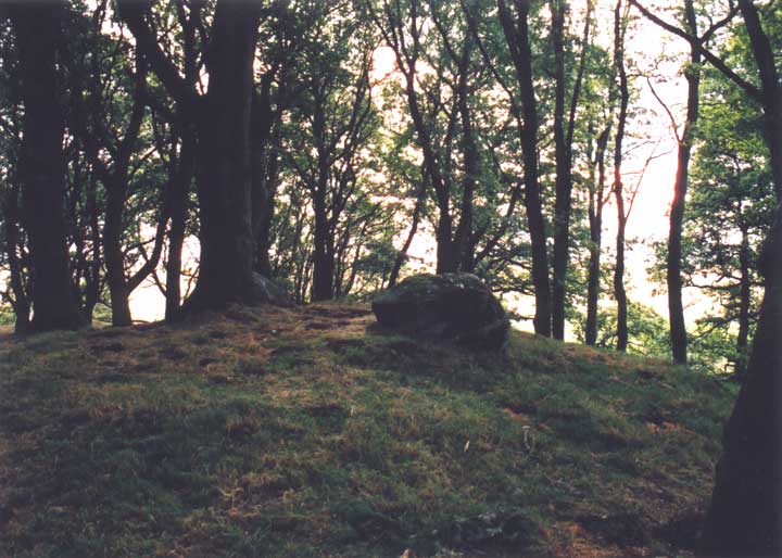 Muirheadstone (Stone Circle) by BigSweetie