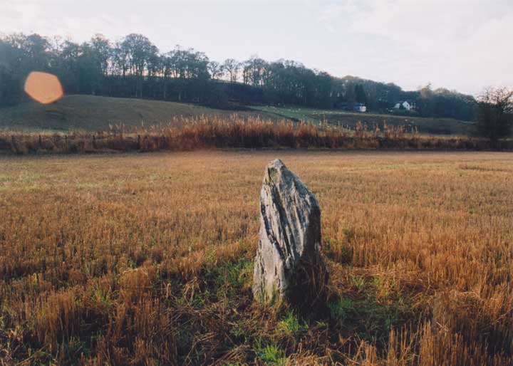 Haugh of Grandtully Farm (Standing Stone / Menhir) by BigSweetie