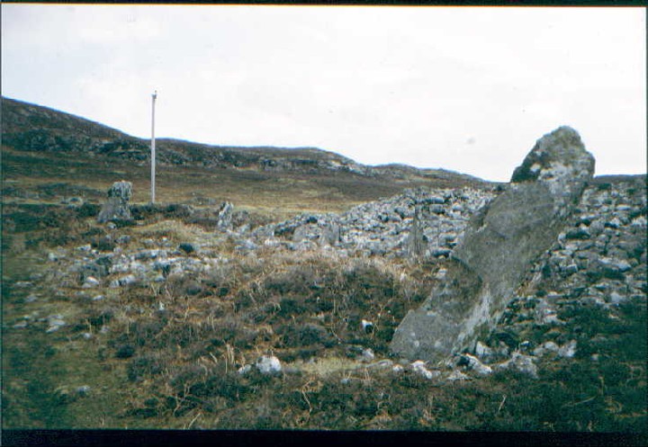 Coille na Borgie (Chambered Tomb) by greywether
