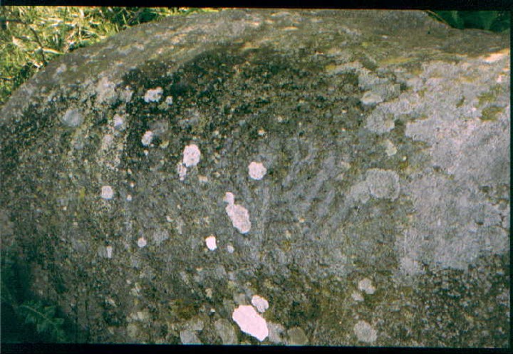 Newbigging (Cup and Ring Marks / Rock Art) by greywether