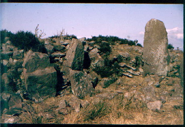 Lang Cairn (Chambered Tomb) by greywether