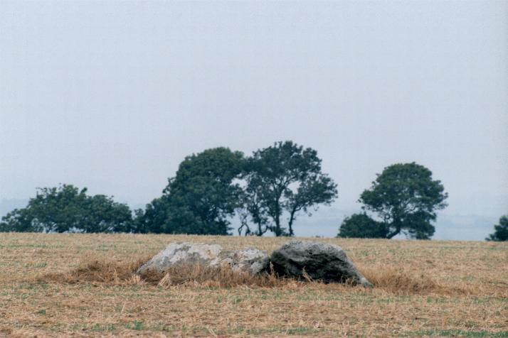 West Compton Down (Burial Chamber) by Moth