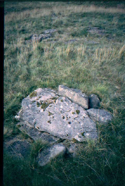 West Linton Cist Cemetery (Burial Chamber) by greywether