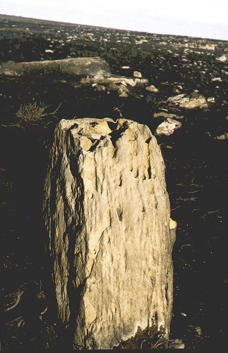 Brow Moor Standing stone (Standing Stone / Menhir) by fitzcoraldo