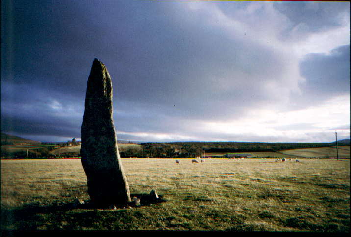 Edderton (Standing Stone / Menhir) by greywether