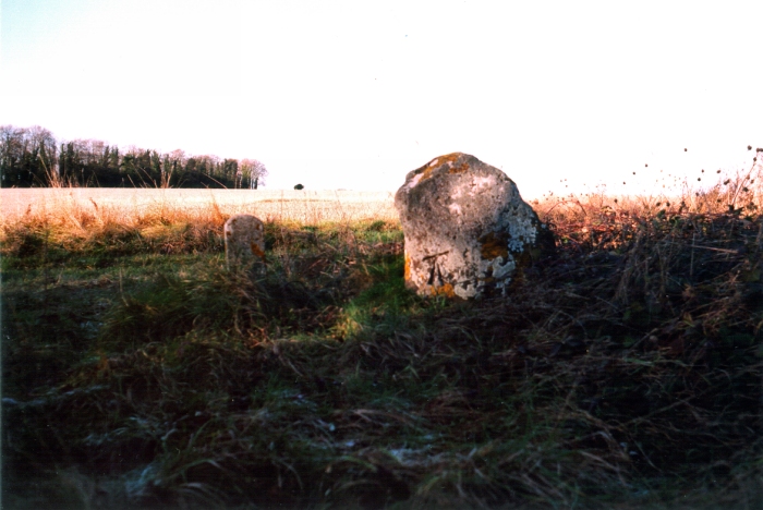 Sarsen Stone (Martin) (Standing Stone / Menhir) by jimit