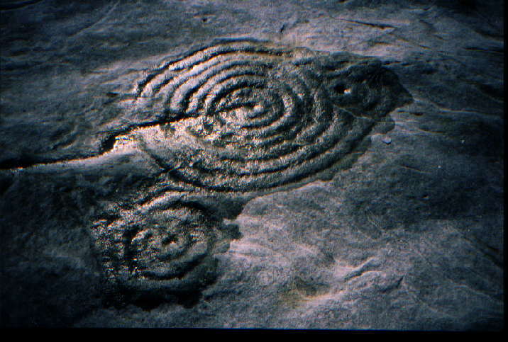 Chatton (Cup and Ring Marks / Rock Art) by greywether