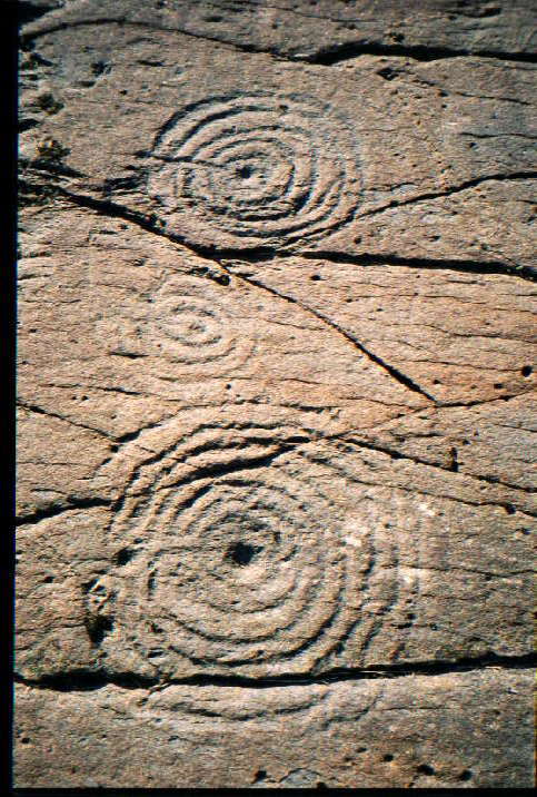 Achnabreck (Cup and Ring Marks / Rock Art) by greywether