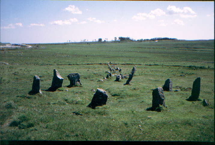 Trowlesworthy Warren (Stone Circle) by greywether