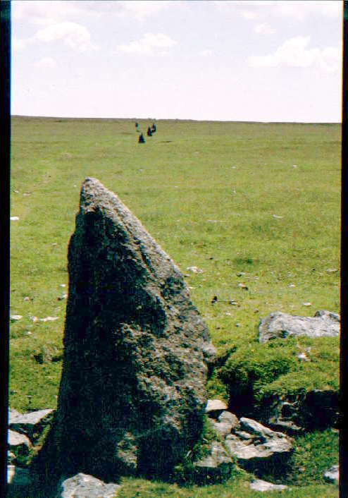 Ringmoor Cairn Circle and Stone Row (Stone Row / Alignment) by greywether